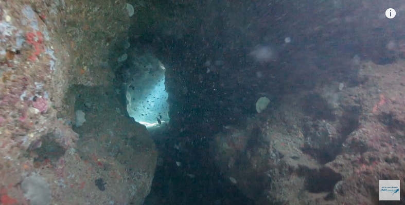 Cave freediving n1