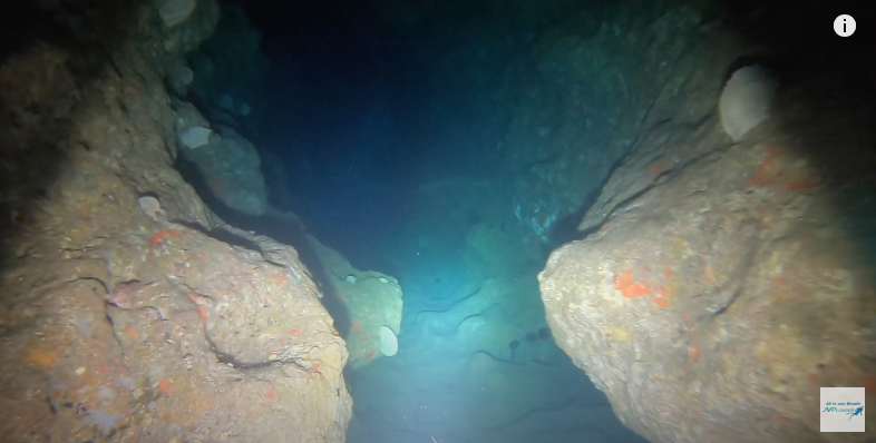 Cave freediving n2