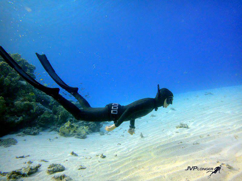JVPlonger Stage Dahab -20 m et Underwaterfly ©