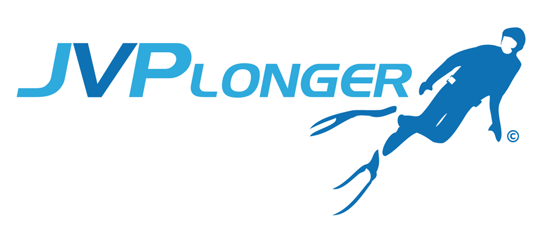 logo_JVPlonger