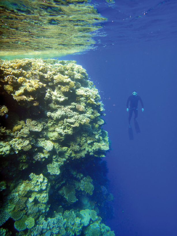 JVP - Stage Dahab Egypte avec les stagiaires - Photo prime  un concours pro.